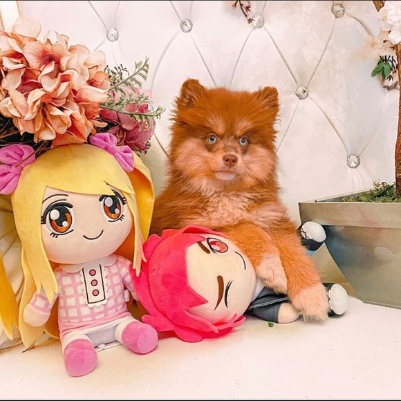 🖤💙 Zack🖤💙 - Picture 2 of 6